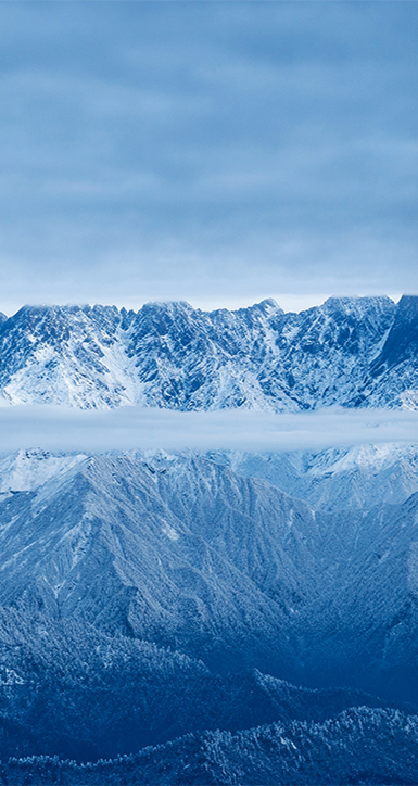 关于亚星会员登录